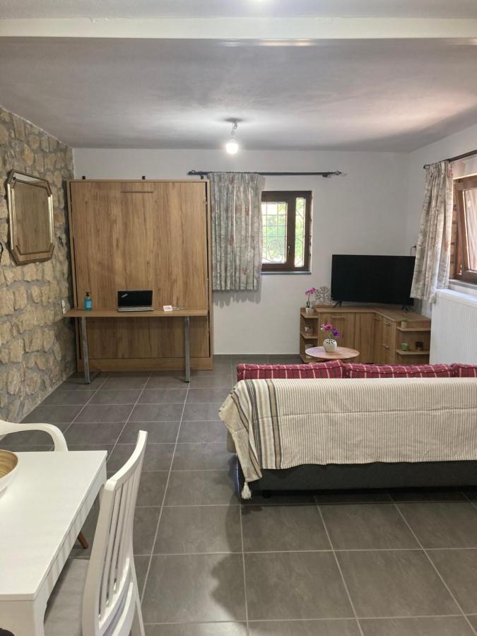 Patriko Villa Kalampáka Dış mekan fotoğraf